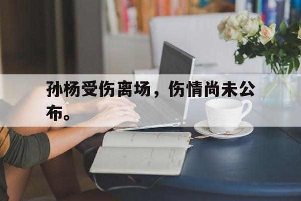 孙杨受伤离场，伤情尚未公布。