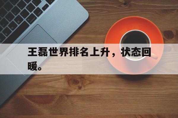 开云平台-王磊世界排名上升，状态回暖。