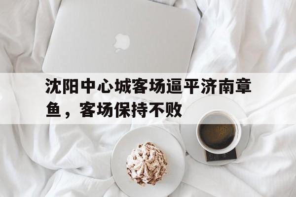 开云,kaiyun-沈阳中心城客场逼平济南章鱼，客场保持不败